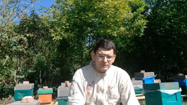 Племінний Бакфаст от Михаила Гращенко,результати тесту на Черкащині. смотреть онлайн
