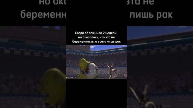 Подписывайся и готовься к порции безумия, которая взорвет твой день! 🚀 смотреть онлайн