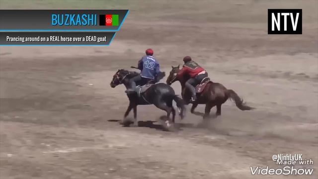 Top 10 Weirdest Sports in the World - Part 2! смотреть онлайн