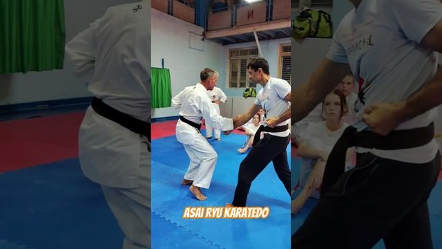 Бункай. Asai Ryu karatedo. #asairyu #karate #каратэ смотреть онлайн