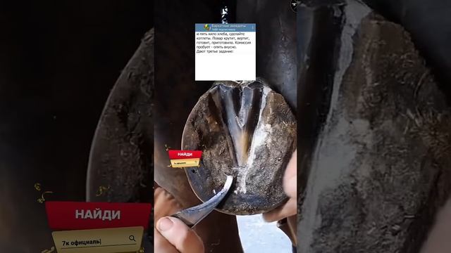 Анекдот про экзамен на повара 😂 #анекдоты #приколы #мем #юмор #юмора смотреть онлайн