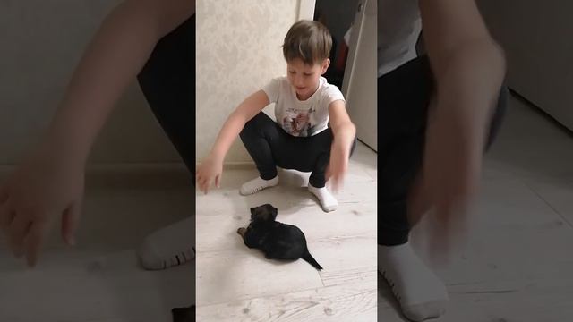 Мой новый друг, собака друг человека, зажигаем смотреть онлайн