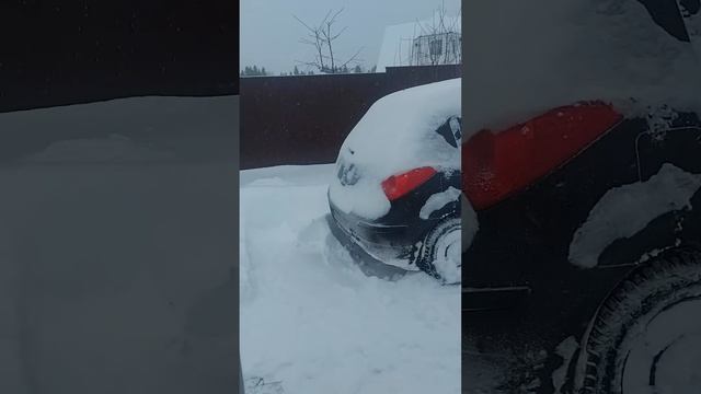 лопатинг и расчищатинг.. собак принимает работу.. 😊