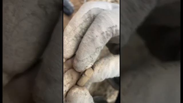 Откопал старинный перстень смотреть онлайн