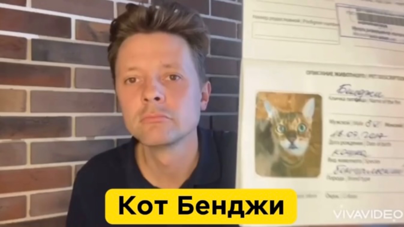 Кот Бенджи смотреть онлайн