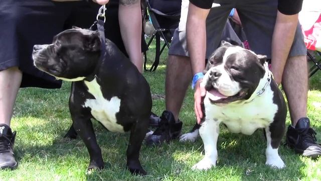 RUTHLESS KETCHUP x KC GOTTILINE NIGHTMARE смотреть онлайн