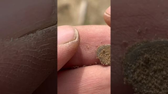 Чешуйка Царь Иван Грозный смотреть онлайн