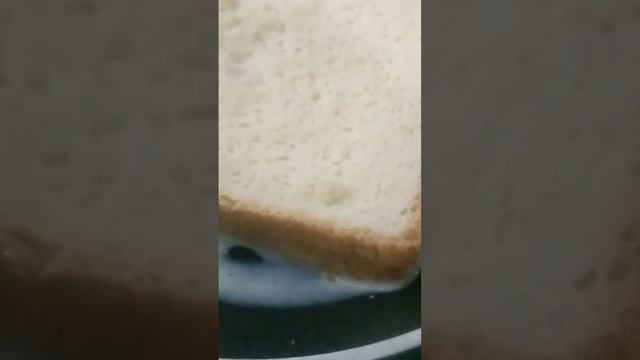 yummy egg and milk bread toast#shorts #ytshorts смотреть онлайн
