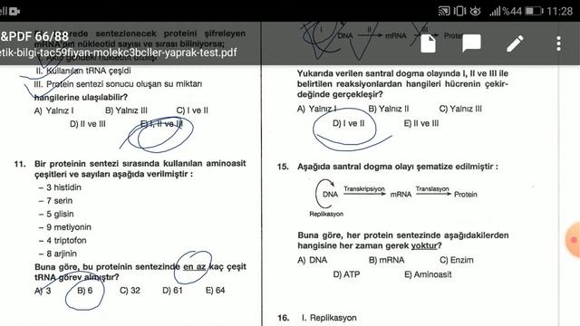 BİYOLOJİ SORU ÇÖZÜMÜ - 9 | AYT (NÜKLEİK ASİTLER VE PROTEİN SENTEZİ ) смотреть онлайн