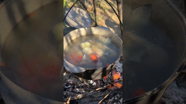Как правильно варить уху ,на рыбалке! смотреть онлайн