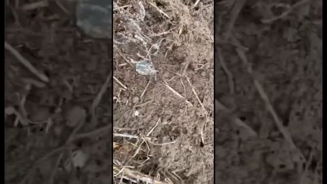 Нашел низкопрофильные 2 копейки времен Императора Александра 2 смотреть онлайн