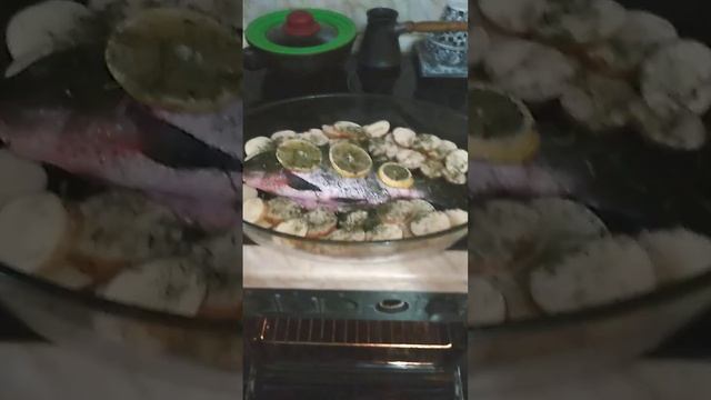 Запекаем карпа. Миколайки. #cooking #cookpad #легенда #shorts смотреть онлайн