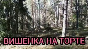 СПИ СПОКОЙНО ЛЮДМИЛА 😔 ДЕЛАЮЩИЙ ДОБРО.  МАНСУР.