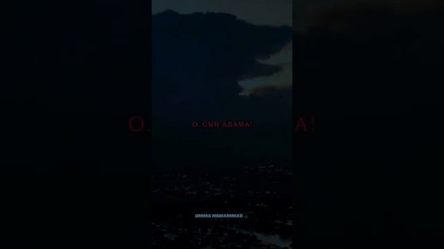 В судный день Всевышний скажет про одного человека смотреть онлайн