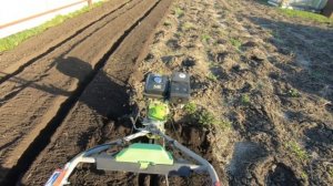 мотоблок ЭКО работа в огороде ответ к комментариям