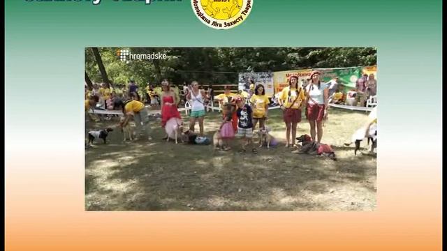 Кубок Барбоса 2017 - Юбилейная Выставка беспородных собак смотреть онлайн