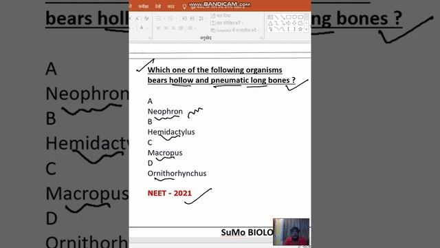 Which one of the following organisms bears hollow and pneumatic long bones ? смотреть онлайн