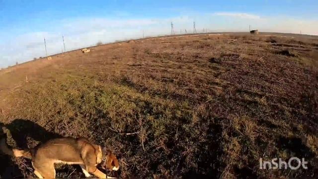 ЗАБРОШЕННАЯ ФЕРМА/ ВЫШЛИ С ДАНЕЙ НА ПРОГУЛКУ смотреть онлайн