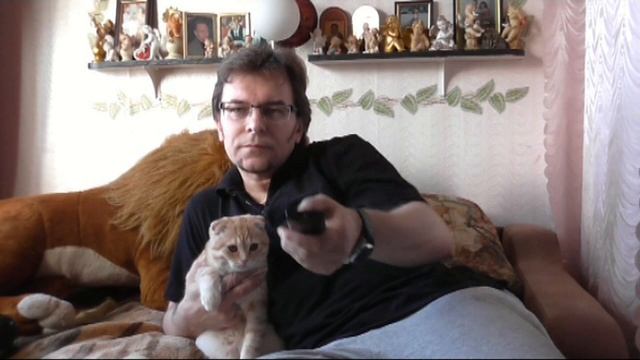 Украли колбасу. смотреть онлайн