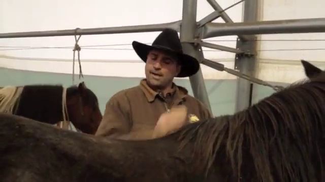 Gaited saddles vs Parelli Saddles Letitia interviews Todd Johnson смотреть онлайн