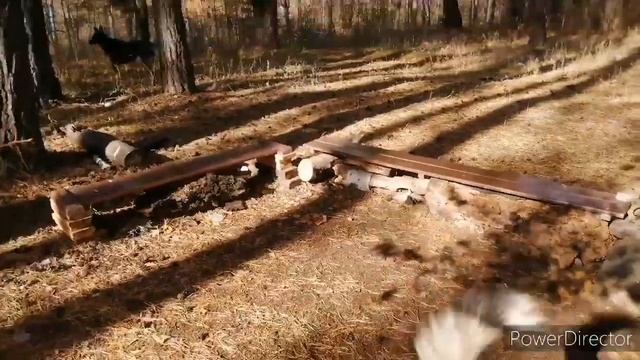 Накормили Найду и спасли #лес от пожара ! Fed Naidu and saved #forest from fire смотреть онлайн