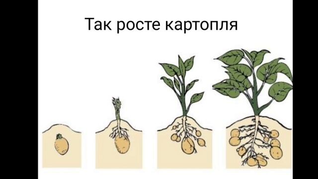 ЯДС 2 клас "Другий хліб" смотреть онлайн