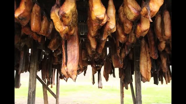 Hákarl, Fermented Or Rotten Shark Meat. The Infamous Icelandic Delicacy.