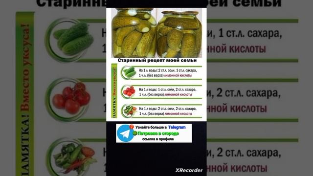 бабушкин рецепт засолки овощей смотреть онлайн