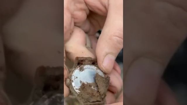 Откопал часы! смотреть онлайн