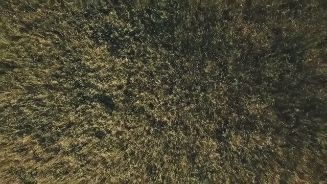 𝔊𝔩𝔞𝔡𝔦𝔞𝔱𝔬𝔯 𝔣𝔬𝔯 𝔯𝔢𝔩𝔞𝔵𝔞𝔱𝔦𝔬𝔫 смотреть онлайн