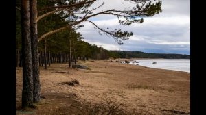 КИНО - Сосны на морском берегу (Минус для соло-гитаристов)