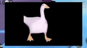 история мема курица сыр ананас