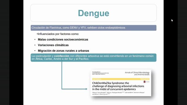 Arbovirus. Dr . Alberto Paniz Mandolfi. ACINVIR 2020. смотреть онлайн