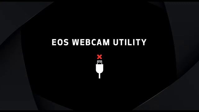 Трансляция про манок смотреть онлайн