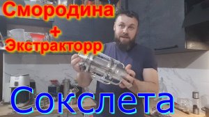 Смородина в экстракторе сокслета.