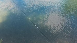 Тест спиннинга Dayo Lyropus 1,85м, 0,2-0,8г, на шнурах Aqua 0,04мм, Dayo nano braid x3 0,045мм