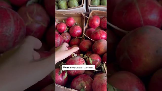 Египет ноябрь 🌞🌴Сезон фруктов и овощей🍆 #египет смотреть онлайн
