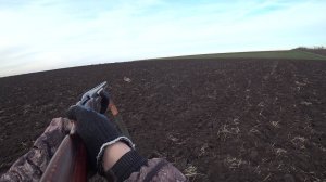 Охота на зайца 2025. Ростовская область.