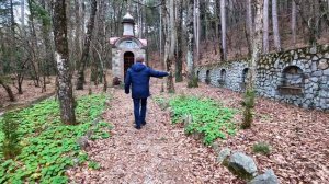 Ялта 2025 зовет на помощь: спасение птиц и строительство новой больницы!