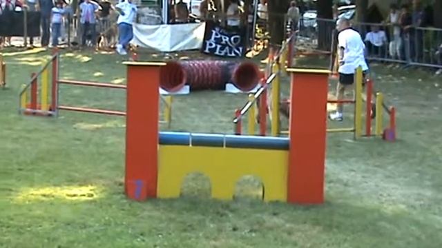 Praline, Jumping, Chatenoy le Royal, septembre 2009 смотреть онлайн