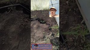 мотоблок АГАТ  прощальный реквиум. и полив в теплице.