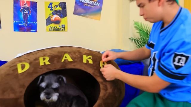 Хорошая собака vs плохая кошка! Мы построили секретные домики для питомцев! смотреть онлайн