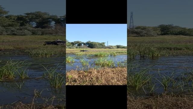 1000058913.mp4 смотреть онлайн