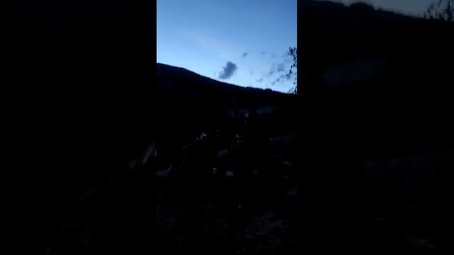 Состав: сверчок, гармошка, скрипка. Автор: пинкфлойд. Летним вечерком на берегу. Из дебрей телефона. смотреть онлайн