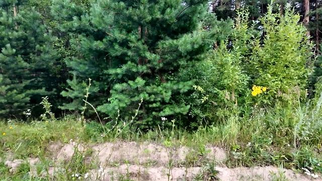 Выписавшись из роддома раньше времени, Варя спешила домой. Тогда она еще не знала… смотреть онлайн