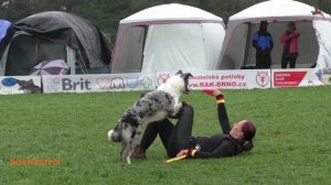 Нарезка с Чемпионата Европы 2024 - совместные движения