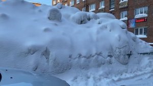Норильск/Ленинский/Цены в Подсолнухе.