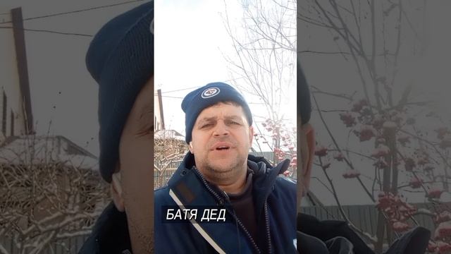 ИСТОРИЯ ПРО ХОМЯЧКА смотреть онлайн