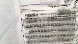 Не работает морозилка в холодильнике No Frost / Морозилка НордФрост, NordFrost