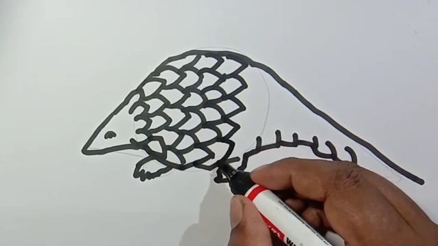 pangolin drawing /easy pangolin drawing смотреть онлайн